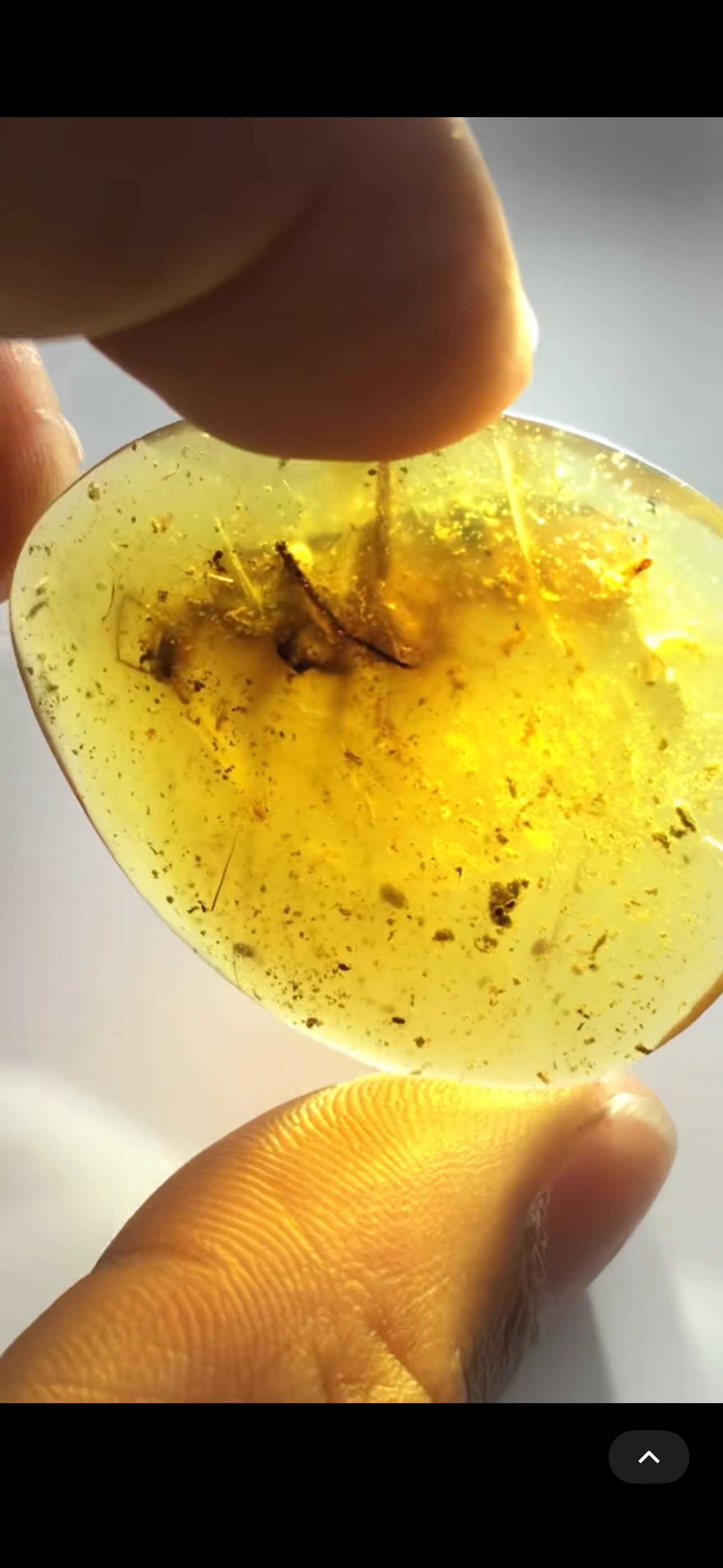 素缘缅甸天然虫珀吊坠0403琥珀带恐蠊标本化石原矿坠子