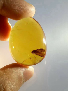 素缘缅甸天然虫珀吊坠1230 38琥珀带石蛾标本化石原矿坠子挂件