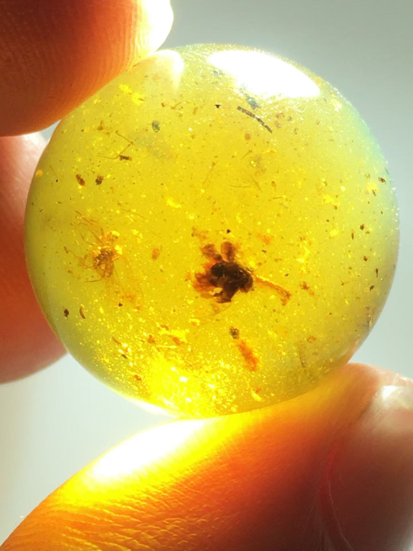 素缘缅甸天然虫珀吊坠0921琥珀带植物花朵蜜蜂甲虫珠子标本原矿