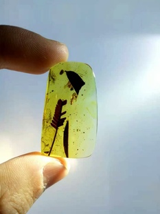 【素缘】缅甸纯天然虫珀吊坠0403 20琥珀带植物杉树叶子标本挂件