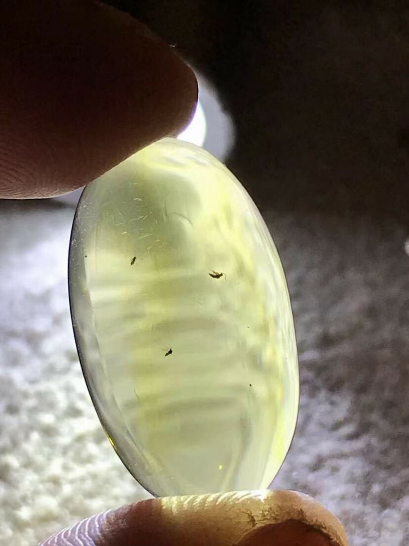 素缘缅甸天然虫珀吊坠1119 62琥珀带虫窝标本化石原石坠子