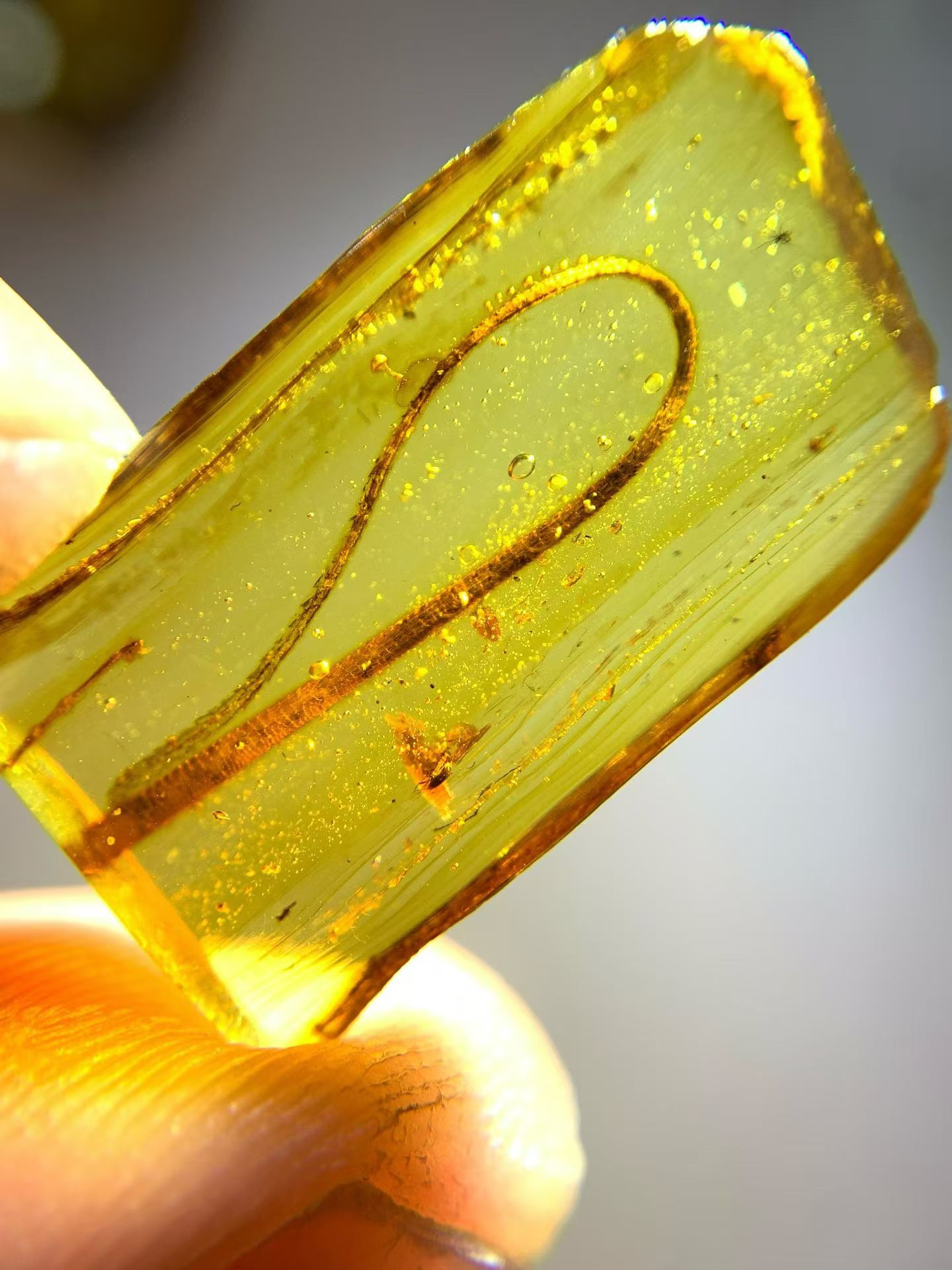 素缘缅甸天然虫珀吊坠0610琥珀带蜥蜴尾巴标本化石原矿坠子