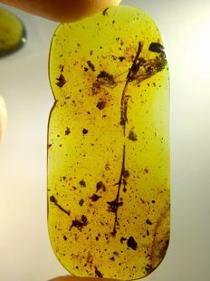 素缘缅甸天然虫珀吊坠0929琥珀带豆娘植物花朵标本化石原矿坠子