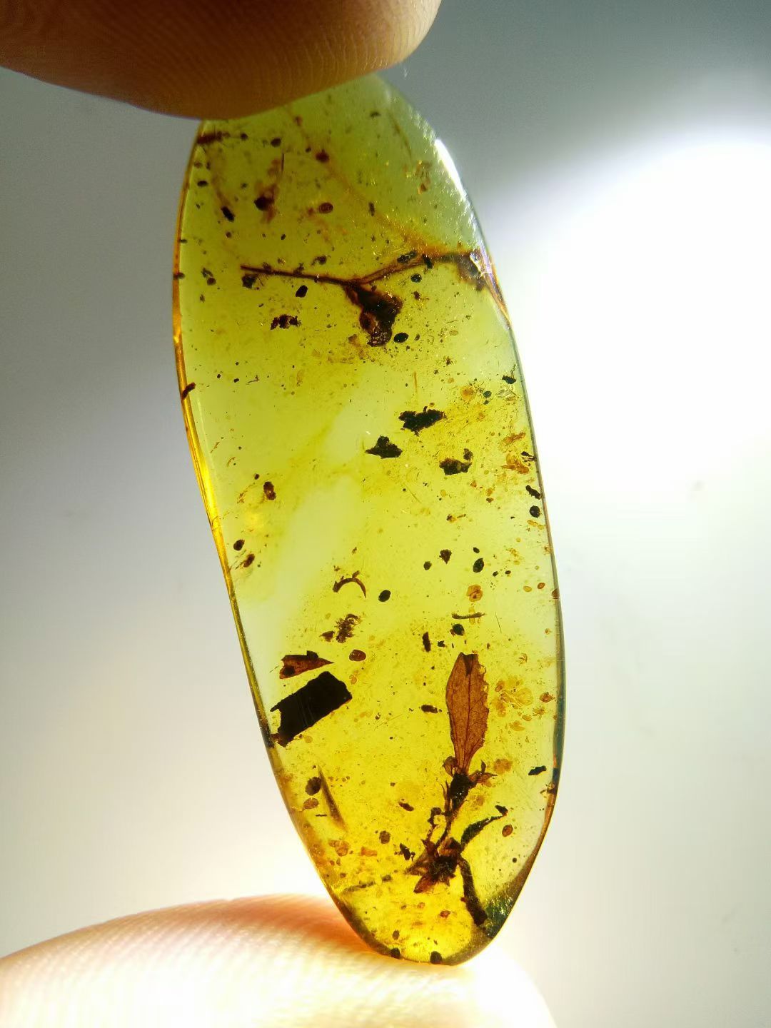 素缘缅甸天然虫珀吊坠0929琥珀带植物花朵标本化石原矿坠子挂件