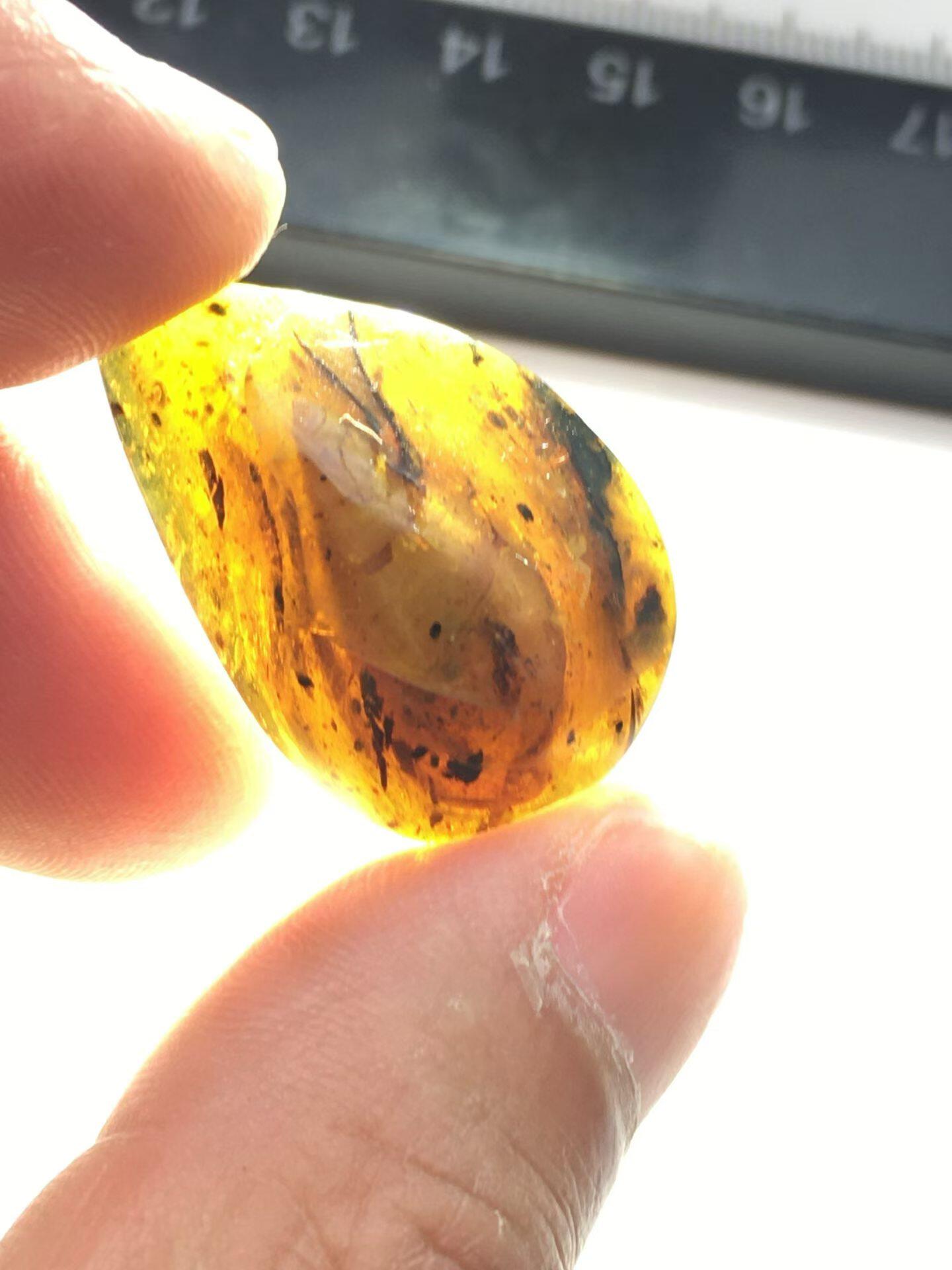 素缘缅甸天然虫珀吊坠0428琥珀带大螺蛳标本化石原矿坠子