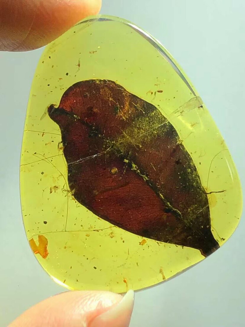 素缘缅甸天然虫珀吊坠0118琥珀带植物叶子标本化石原石坠子挂件