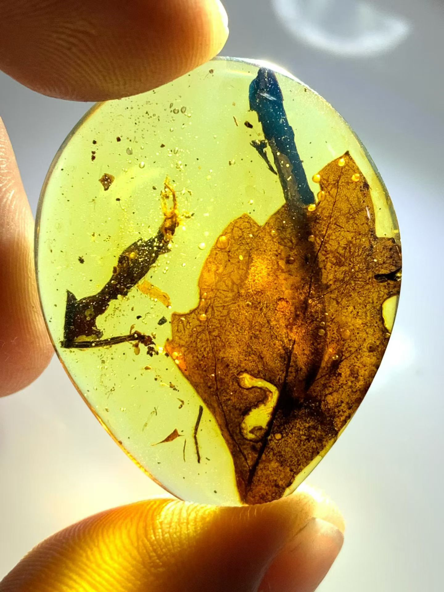 素缘缅甸天然虫珀吊坠0610琥珀带虫食叶子标本化石原矿坠子