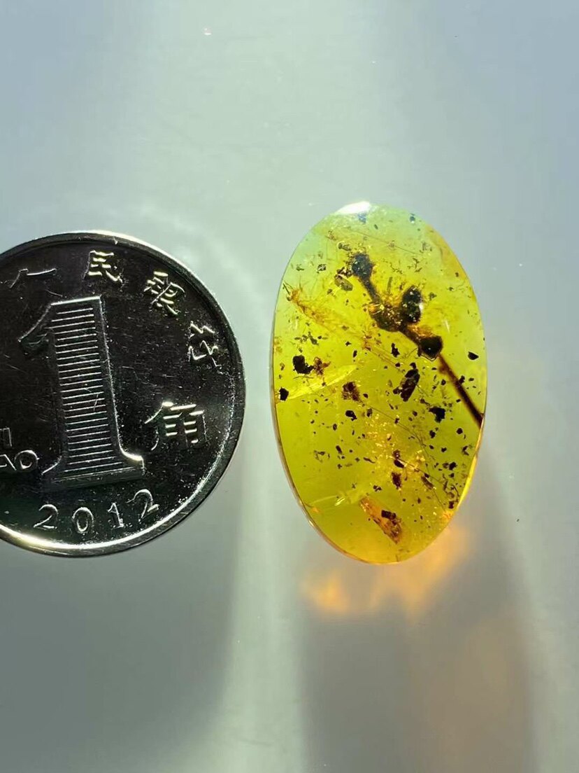 素缘缅甸天然虫珀吊坠1210琥珀带植物花朵标本化石原石坠子挂件