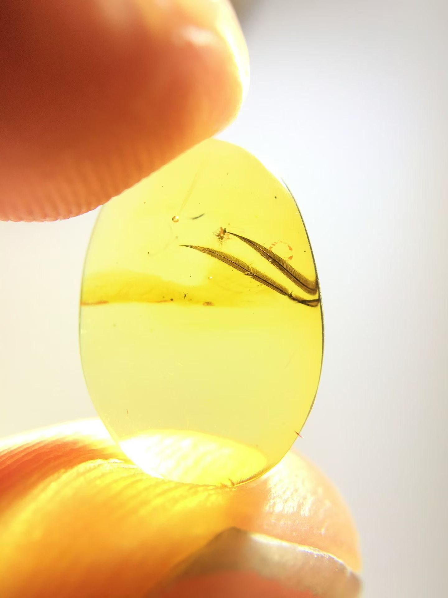 素缘缅甸天然虫珀吊坠0921琥珀带羽毛标本化石原矿坠子挂件