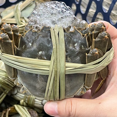【精品公母】鲜活大闸蟹母1.8-2.2两公2.8-3.2两礼盒装顺丰包邮