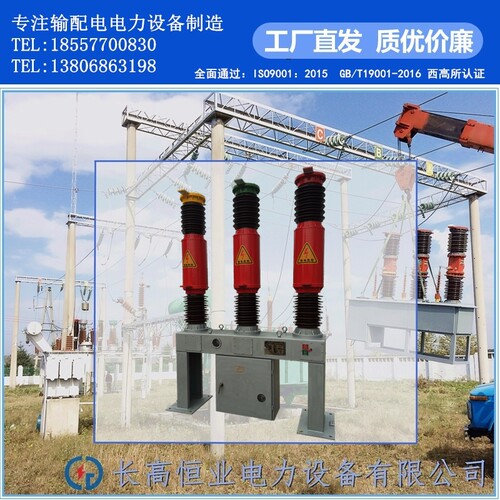 长高ZW30-40.5户外高压真空断路器配CT17型弹簧操作机构带SF6气体