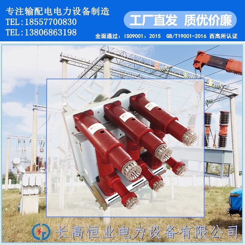 新型VZF-12/T630A-20KA户内高压真空负荷开关630A-1250A