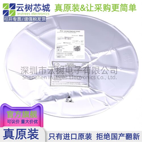 原装正品 S9S08SG16E1CTLR TSSOP-28 S08 8位微控制器 - 封面