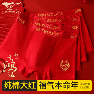 衩全棉不变形平角裤 男生本命年红色纯棉短裤 头结婚 内裤 七匹狼男士