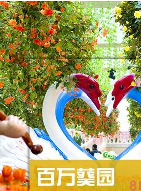 2026广东广州百万葵园旅游攻略（电子版）自由行交通景点旅行指南