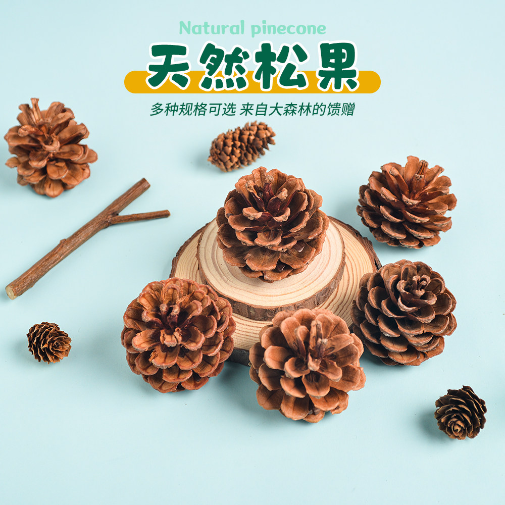 装饰diy圣诞手工松果松塔套装材料幼儿园装饰配件小干花制作树枝