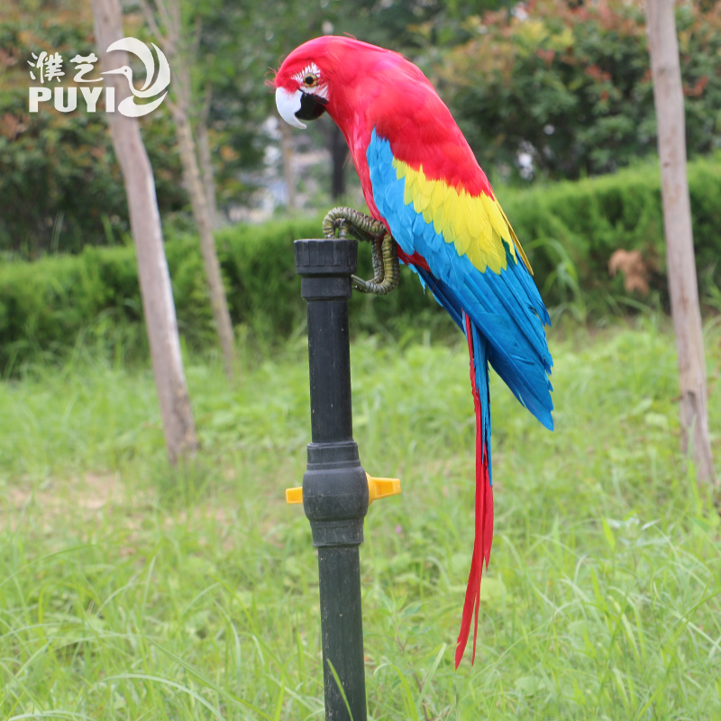 新品仿真金刚鹦鹉羽毛虎皮非活物