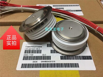 Y38KPEOT14G06  Y38KPEUT14D0  全新正品