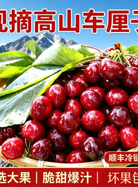 车厘子3斤红灯四川大樱桃新鲜