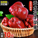 红蛇粉面平果丑 糖心当季 现货天水花牛苹果新鲜水果整箱 包邮