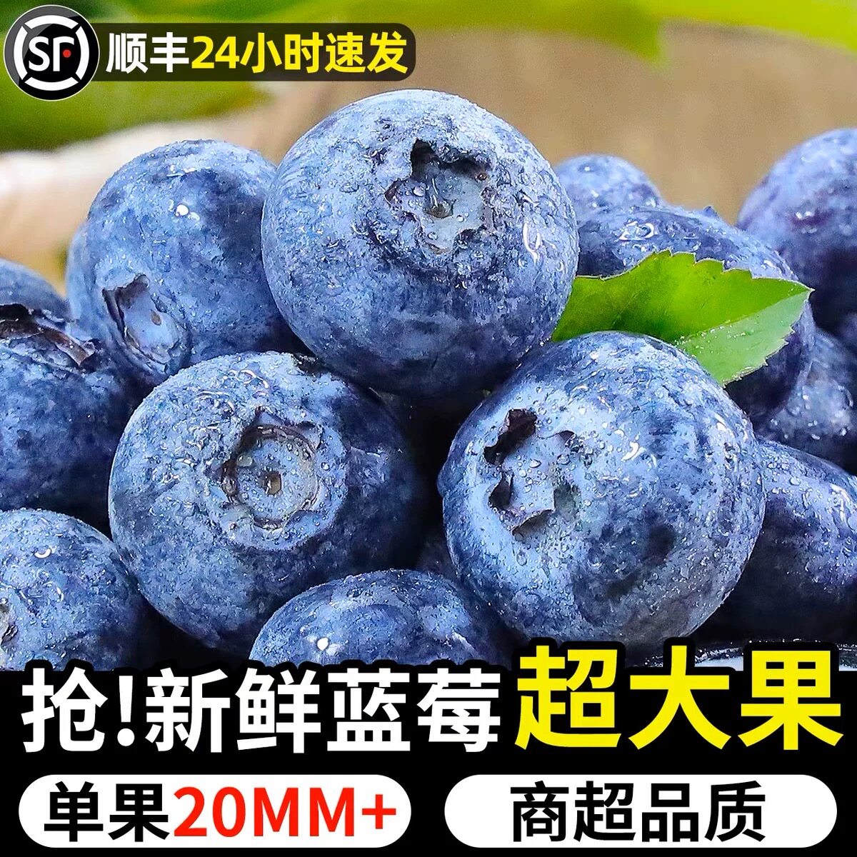 顺丰包邮新鲜蓝莓鲜果12盒新鲜蓝莓