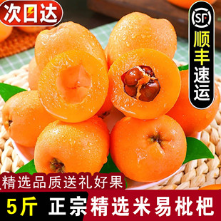 【顺丰包邮】正宗四川攀枝花米易枇杷大果5斤新鲜琵琶果当季鲜果