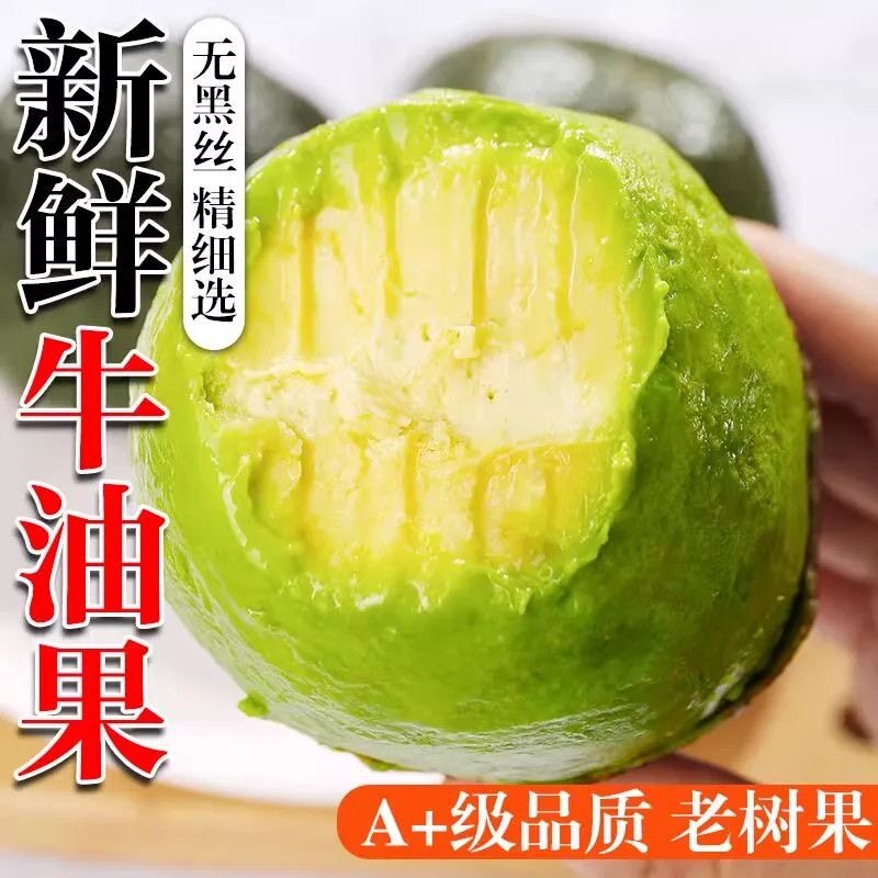 墨西哥牛油果进口大果10颗新鲜牛油果