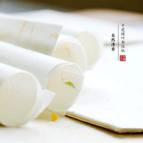 植物肌理复古信纸花草云龙笺28*17cm手工抄制茶叶黄花宣纸20张装