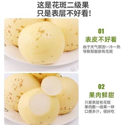 河北正宗皇冠梨整箱批发新鲜梨子应季水果脆甜多汁非雪梨香梨