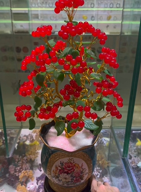 金枝玉叶》摇钱树！ 红玉果硕果累累！花开富贵！