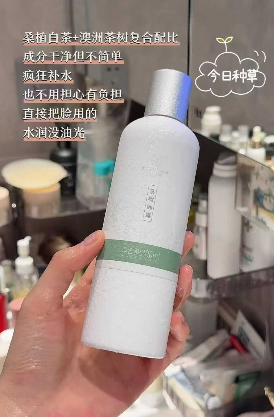 云朵艾杨茶树纯露正品送喷头＋湿敷面膜纸补水控油打豆豆正品