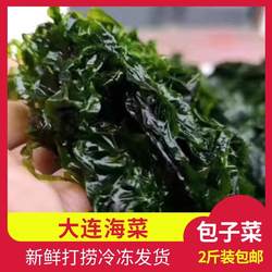 大连新鲜海菜长岛包子菜鲜海绿菜海青菜非海麻线辽宁省内专拍