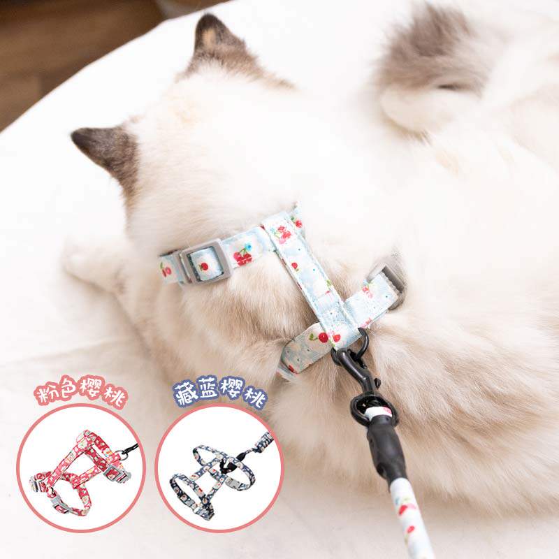 宠物猫咪和风背带牵引绳不可伸缩可爱幼猫成猫防挣脱遛猫套绳神器