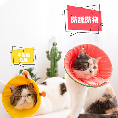 伊丽莎白圈宠物猫柔软项圈方便防咬抓防舔耻辱手术舔伤口绝育头套 - 封面