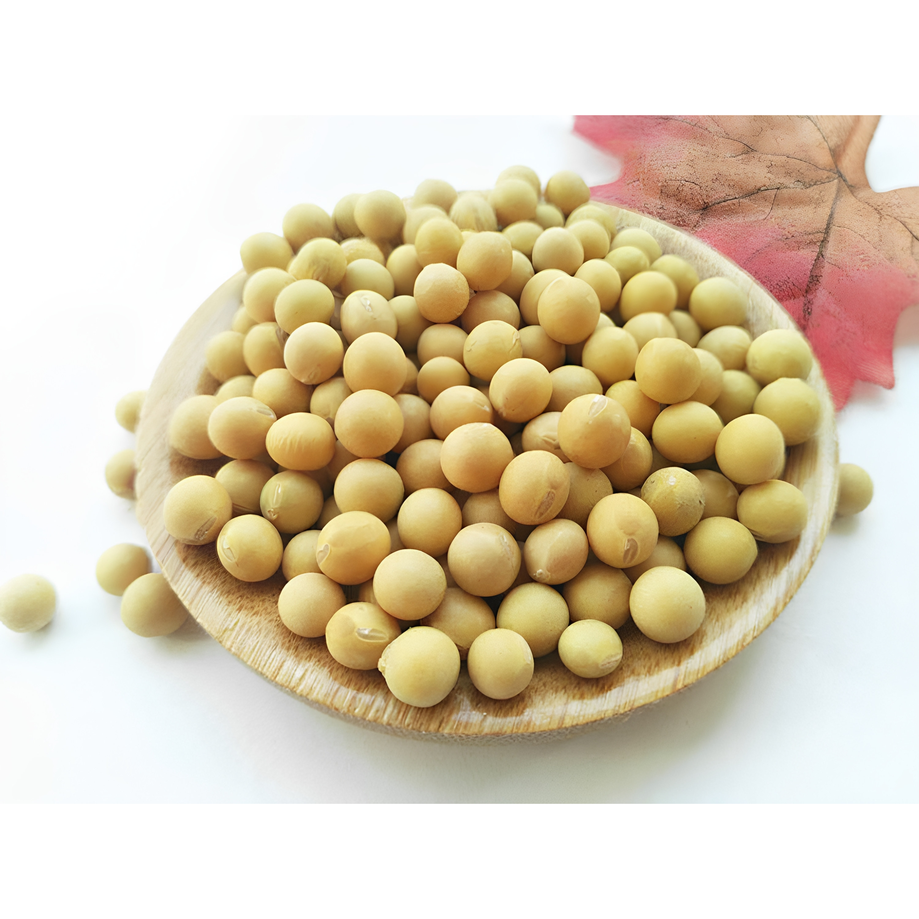新小粒黄豆北方大豆黄豆可发芽生黄豆新豆250g打农家豆浆包邮