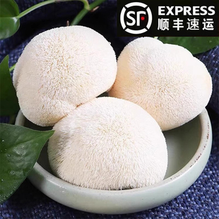 【顺丰速运】新鲜猴头菇1000克古田现采头茬猴脑菌养胃煲汤食材