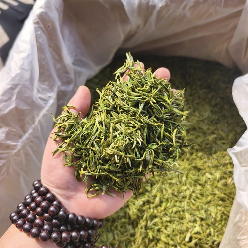 26年新茶手工茶黄山毛峰嫩芽