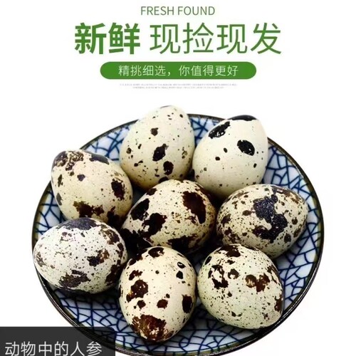 50颗新鲜鹌鹑蛋宝宝辅食农家杂粮小鸟蛋自养食用农产品新鲜当天