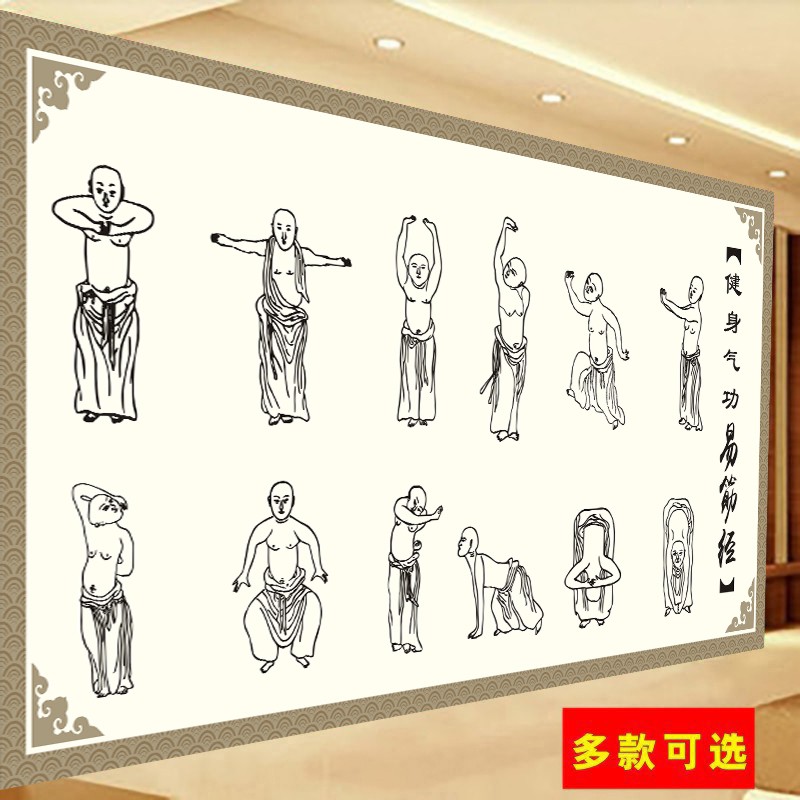 达摩易筋经 易筋经十二式 武术修练养生 传统养生文化装饰画