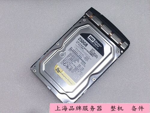 原装250GSATAWD2502ABYS