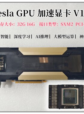 TeslaV10016G/32GSMX2接口卡