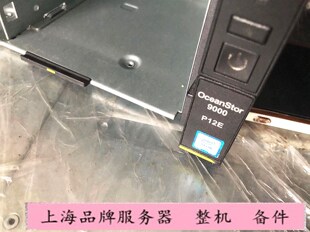 9000 华为 整机 OceanStor P12E 准系统