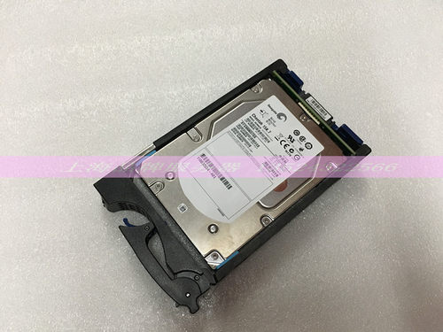 300G硬盘EMC005049271