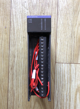 SAKA日本PLC控制器模块C3-DIT316