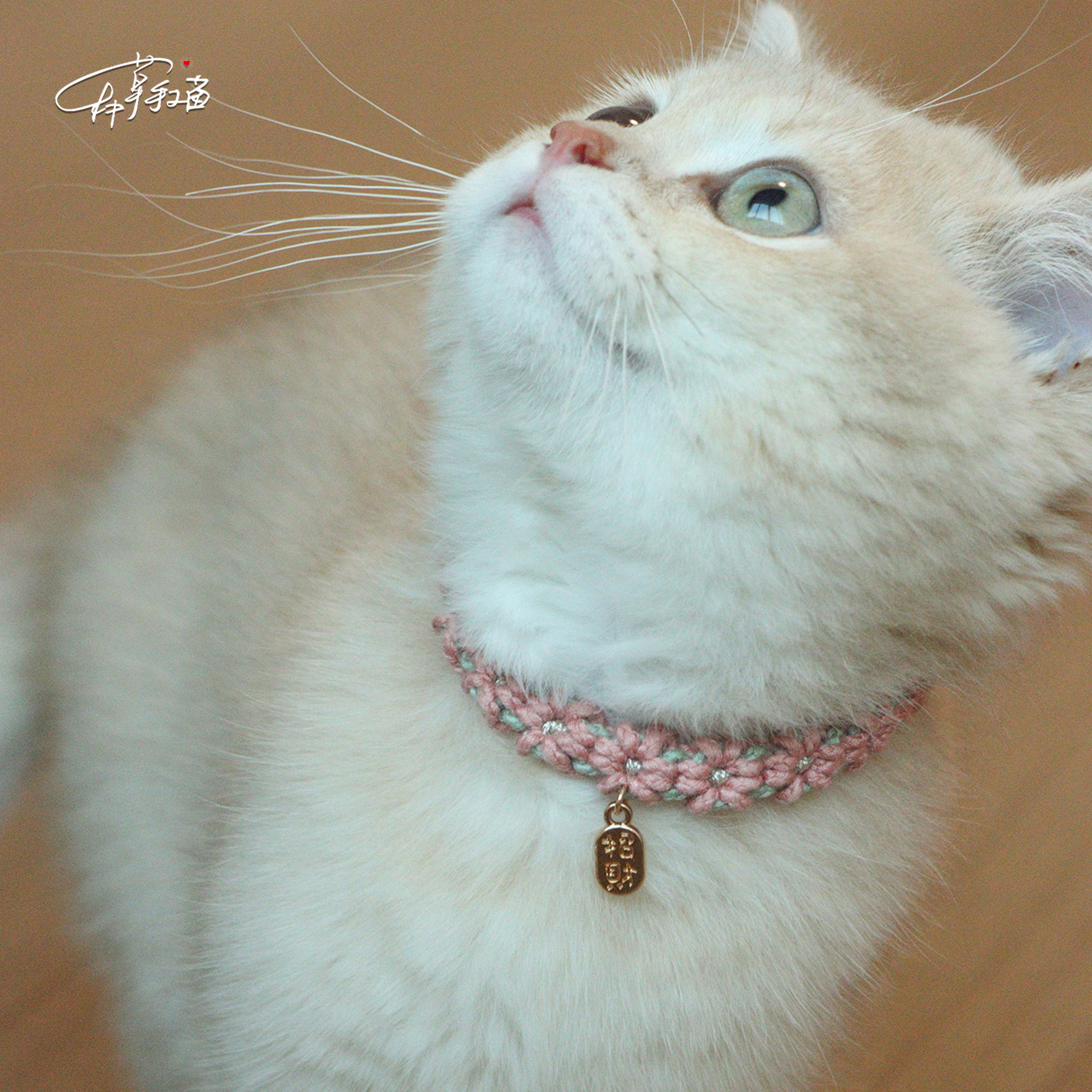 种草手工菌 原创小众樱花宠物项圈猫脖圈 手工编绳DIY编织材料包