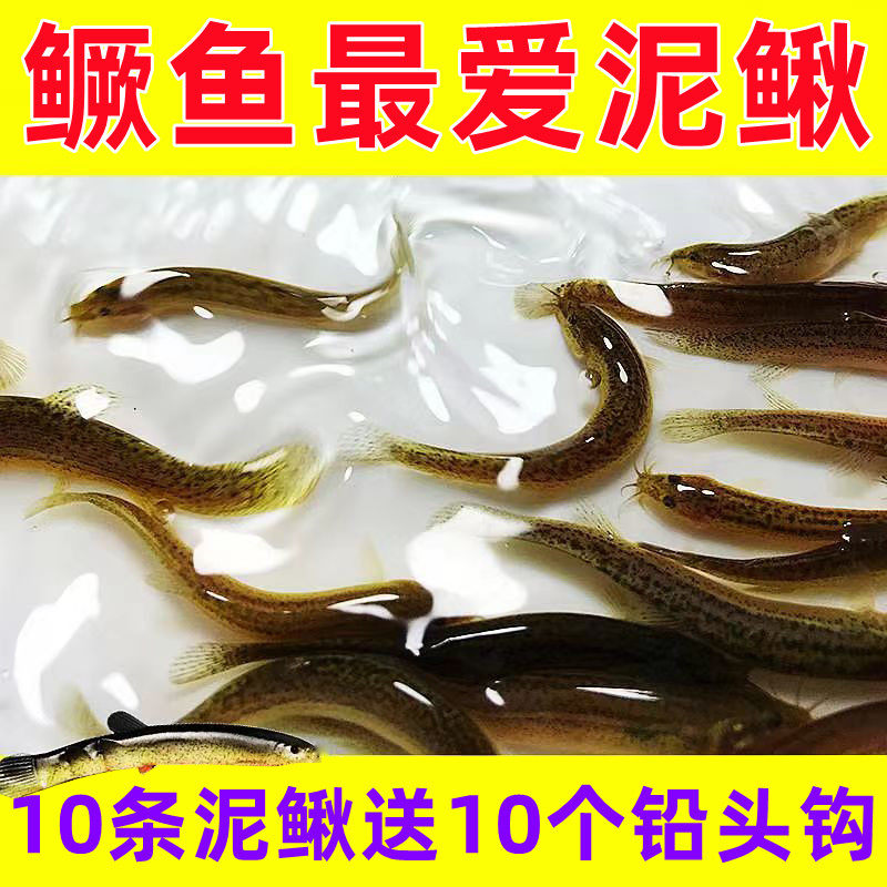 新款仿生泥鳅软饵路亚假饵淡水翘嘴鳜鱼鲈鱼黑鱼鲶鱼软虫软鱼跳底,户外/登山/野营/旅行用品,活饵/谷麦饵等饵料,淘宝优惠券,粉丝福利购,淘宝优惠卷