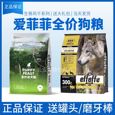 effeffe鲜肉泰迪比熊金毛幼犬