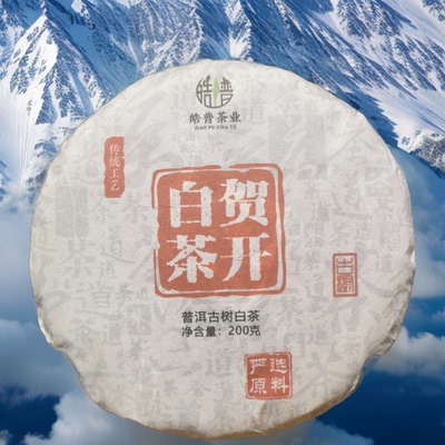 2022年云南普洱茶贺开曼迈老寨古树白茶七子饼200克饼茶