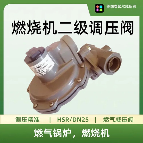 费希尔HSR/DN25中转低压阀