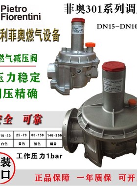 意大利GOVERNOR菲奥FMF30160-30168/F天燃气减压阀FMF30163调压器